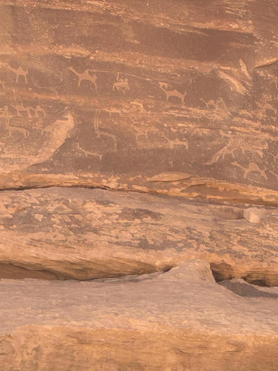 Star Magic Camp Hotel Wadi Rum Buitenkant foto